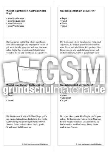 Quiz-Karten-Tiernamen 80.pdf